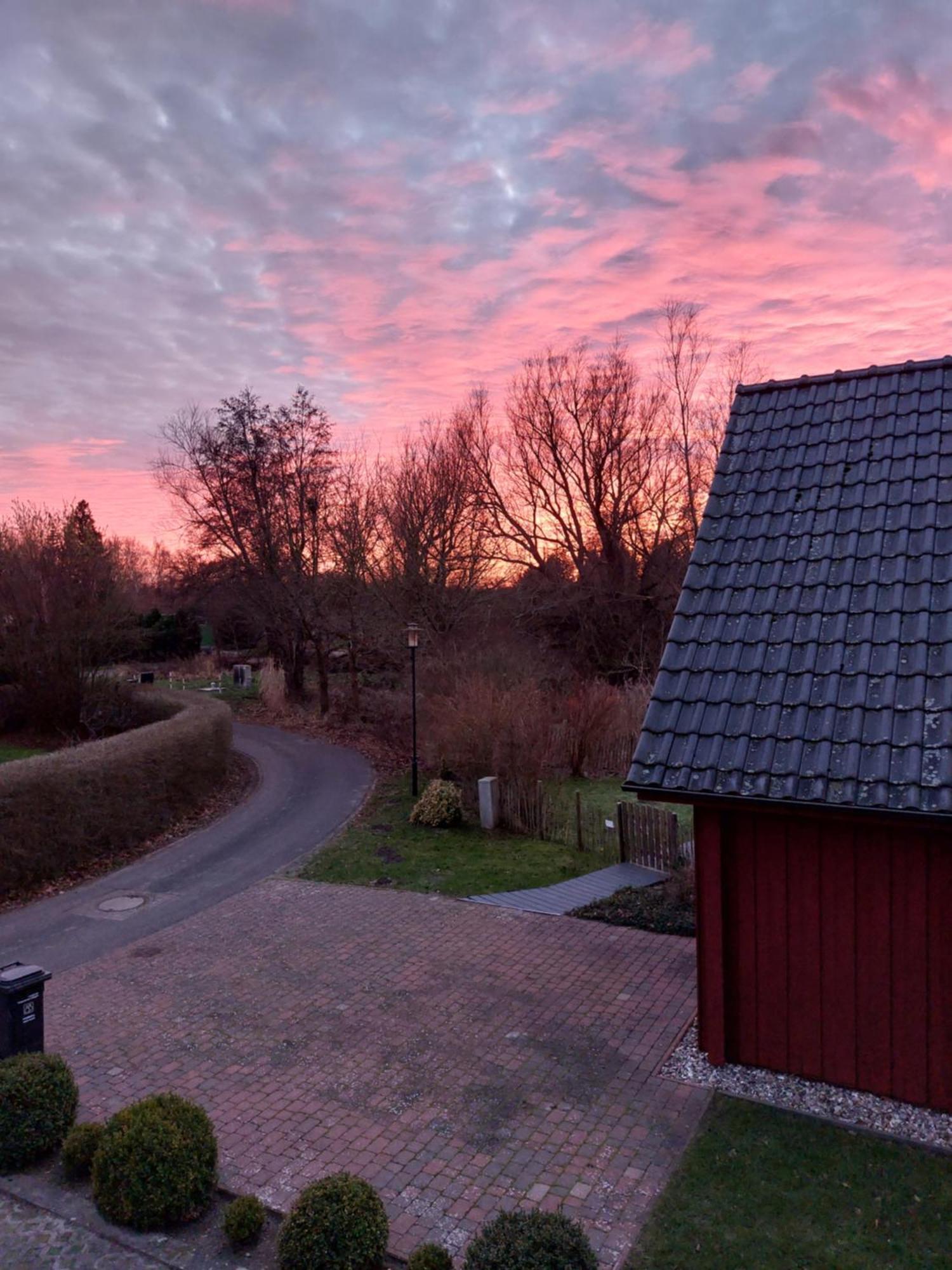 Tor Zum Darss Appartement Pruchten Buitenkant foto