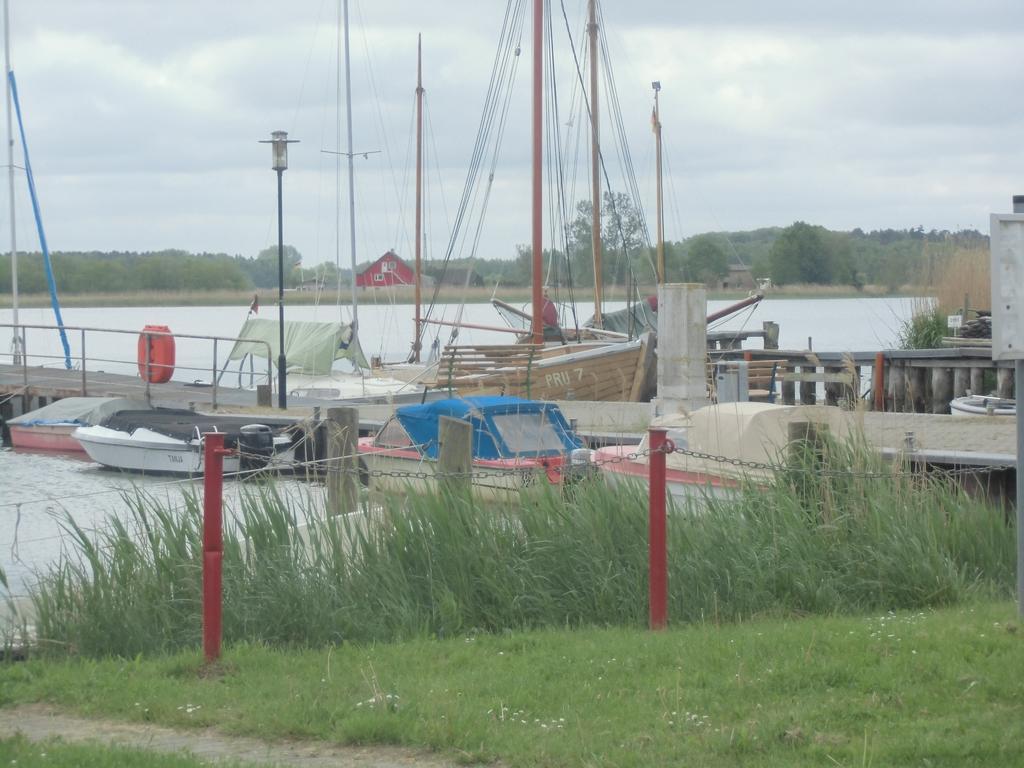 Tor Zum Darss Appartement Pruchten Buitenkant foto
